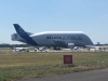 Beluga-in-St.-Nazaire