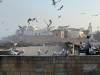 Essaouira