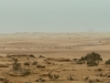 Sahara